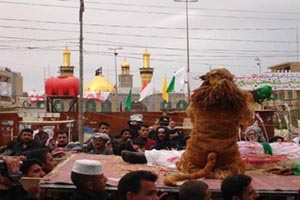 lion kerbala